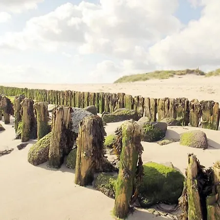Strand-lug